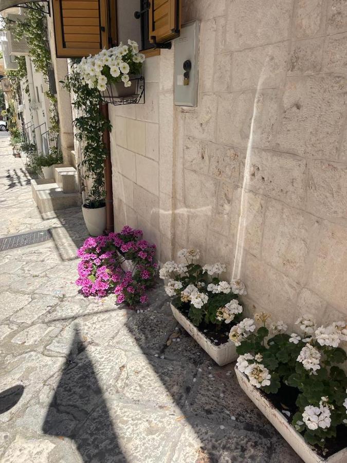 אוסטוני Casetta Nobile מראה חיצוני תמונה